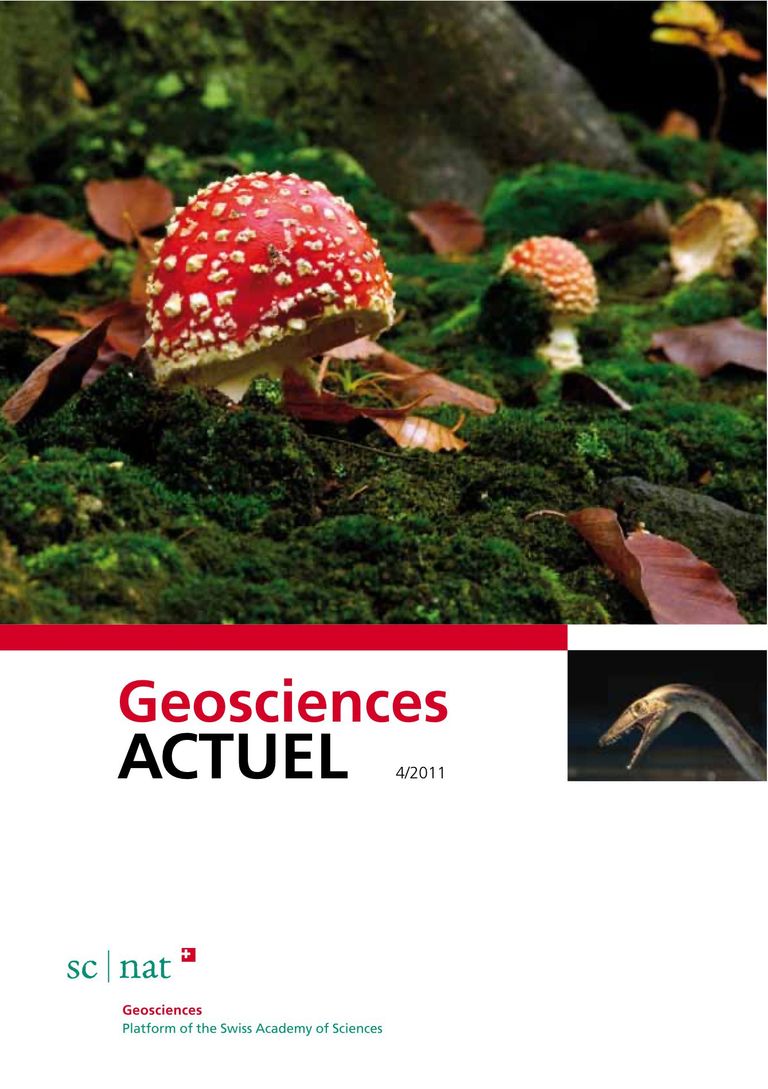 Geosciences ACTUEL 4/2011