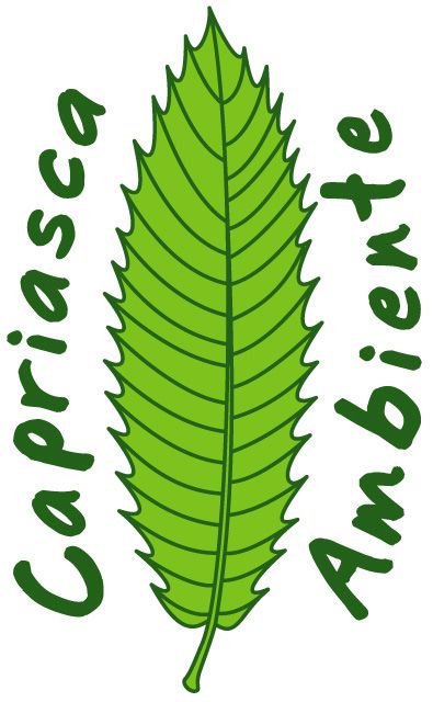 Logo di Capriasca Ambiente