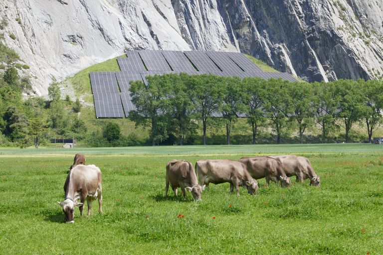 Die Wandergruppe hat auf ihrem Weg von Graubünden nach Genf diverse spannende Klimaschutz-Projekte besucht: In einem ehemaligen Steinbruch in Felsberg realisierte die Rhiienergie AG die grösste Freiflächen-Photovoltaik-Anlage der Schweiz.