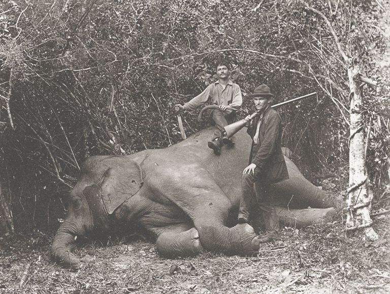 Buch «Die Naturforschenden»: Fritz und Paul Sarasin als Zoologen auf Ceylon, undatiert (1880er-Jahre).