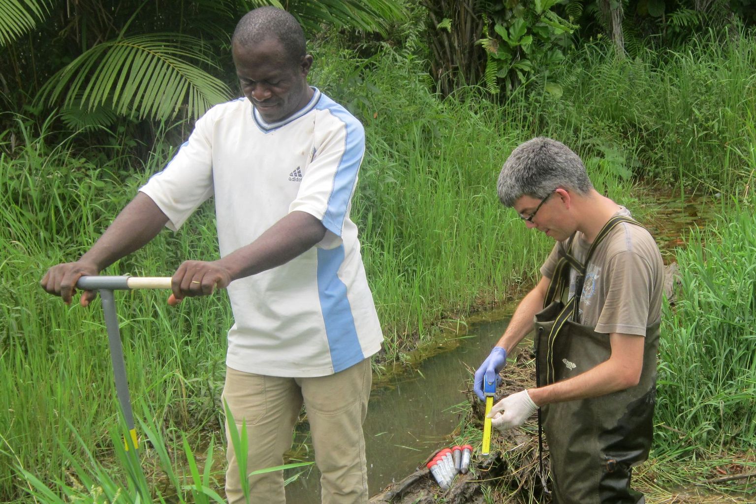 Analyse conjointe et recherche du pathogène de l'ulcère de Buruli au Cameroun.