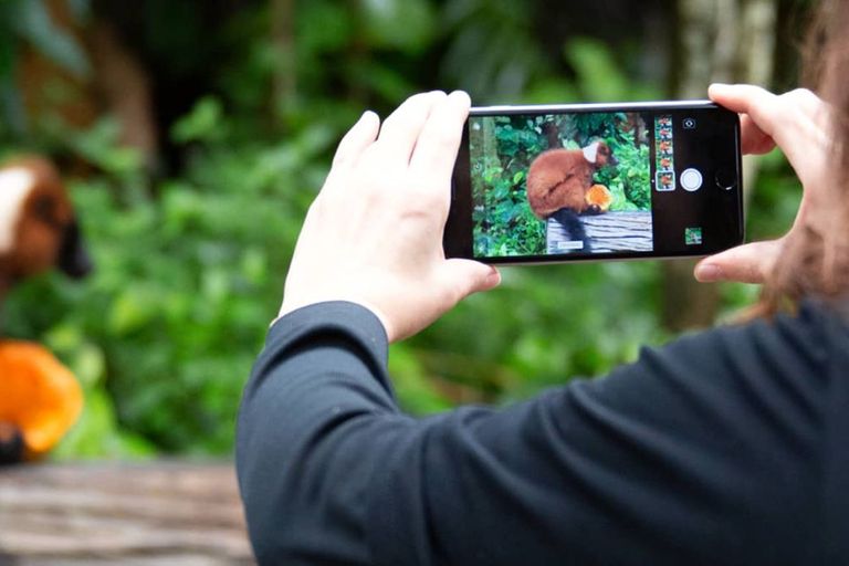 Smartphone Fotokurs im Zoo