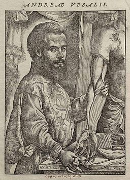 Porträt von Vesalius aus seiner "De humani corporis fabrica"