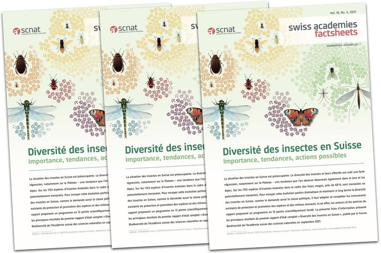 Swiss Academies Factsheet