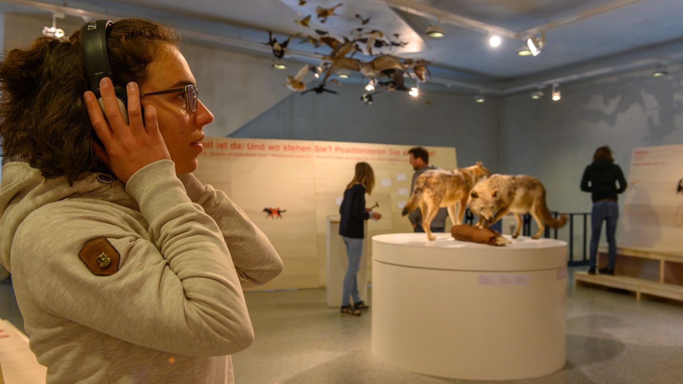 Ein Besuch in der Wolfausstellung