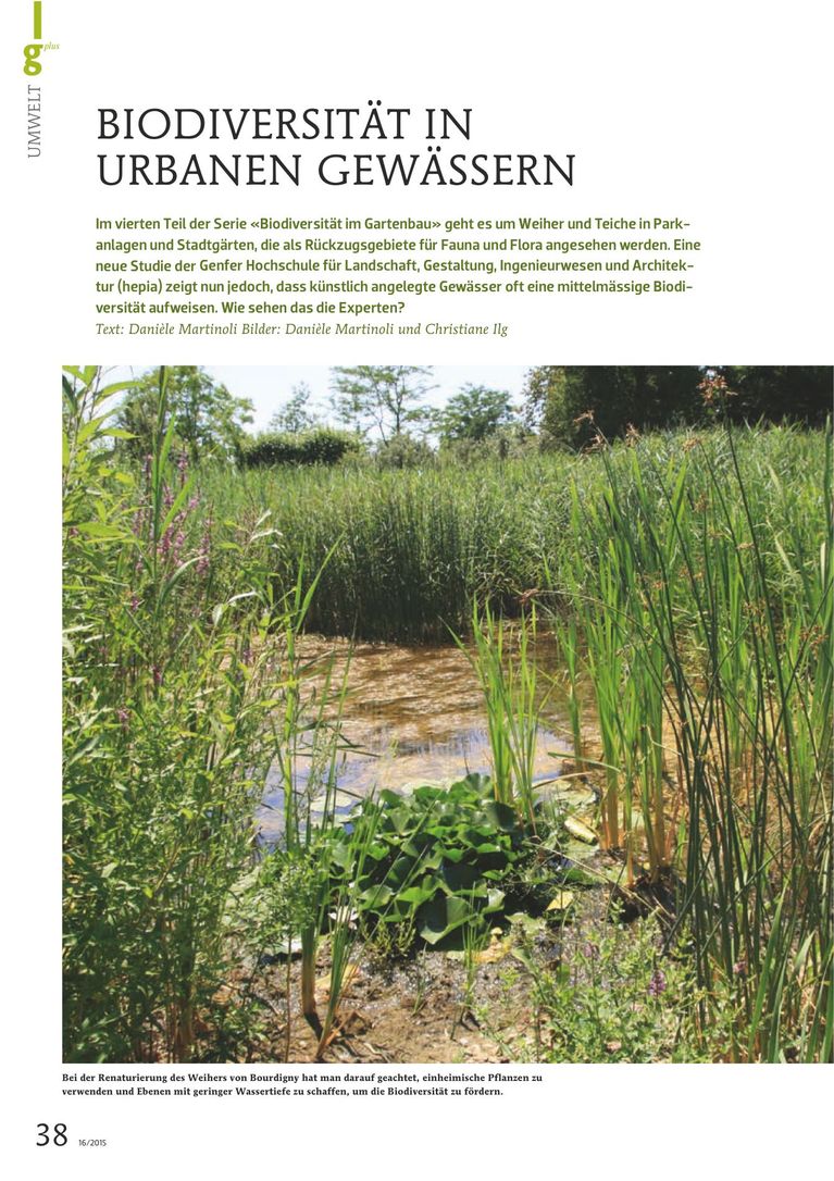 Biodiversität im Gartenbau 4: Biodiversität in urbanen Gewässern