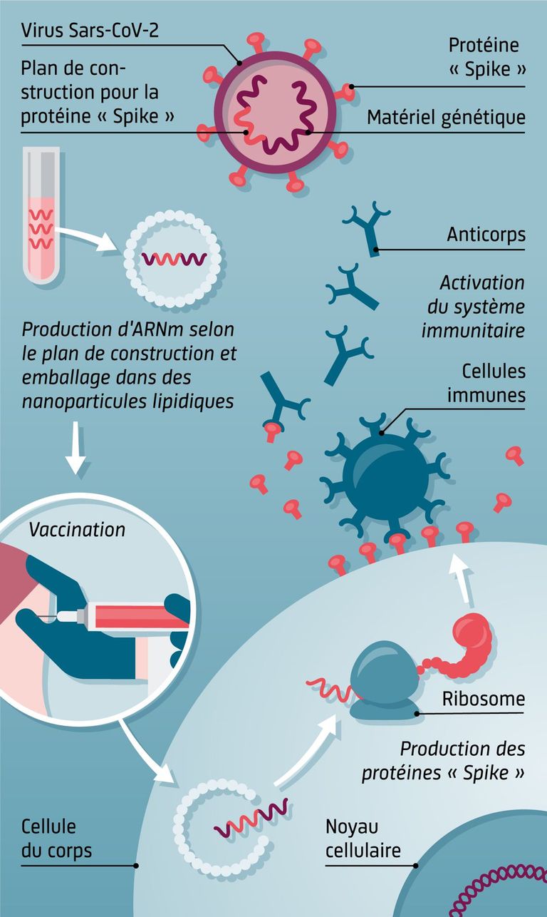 vaccins à ARNm