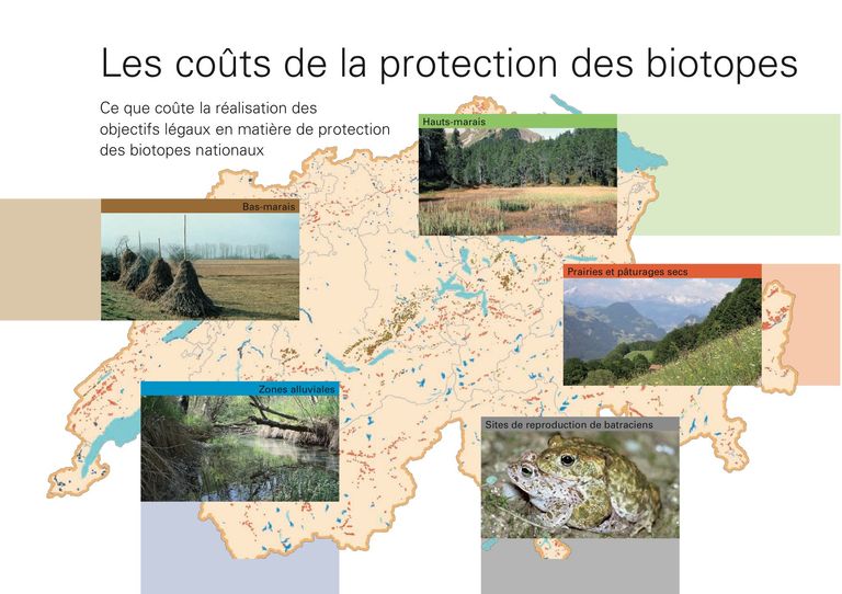 Brochure: Les coûts d'une protection conforme aux exigences légales des biotopes d'importance nationale