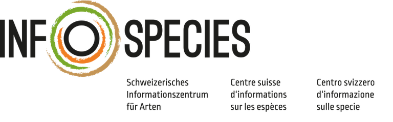 Logo von Info Species