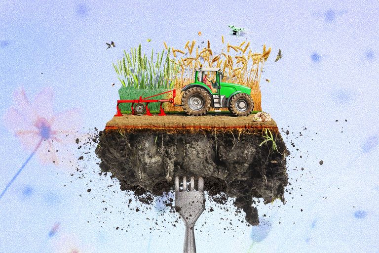 L’agriculture régénérative: la clé contre le réchauffement climatique?