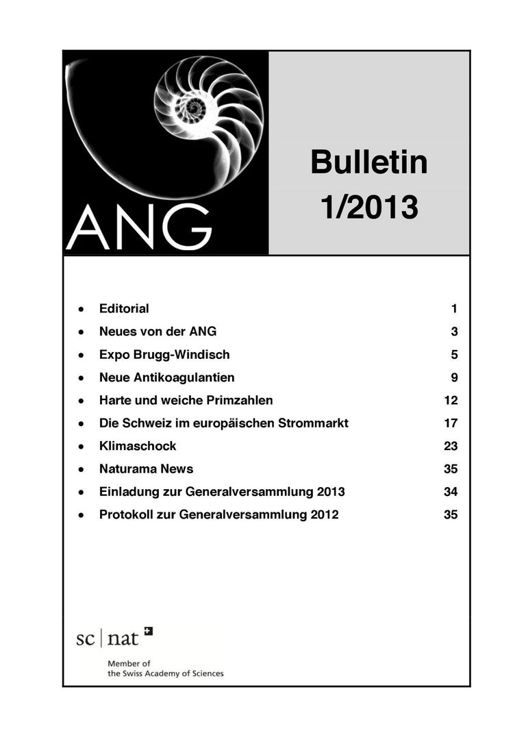 Teaser "ANG Bulletin 1/2013"