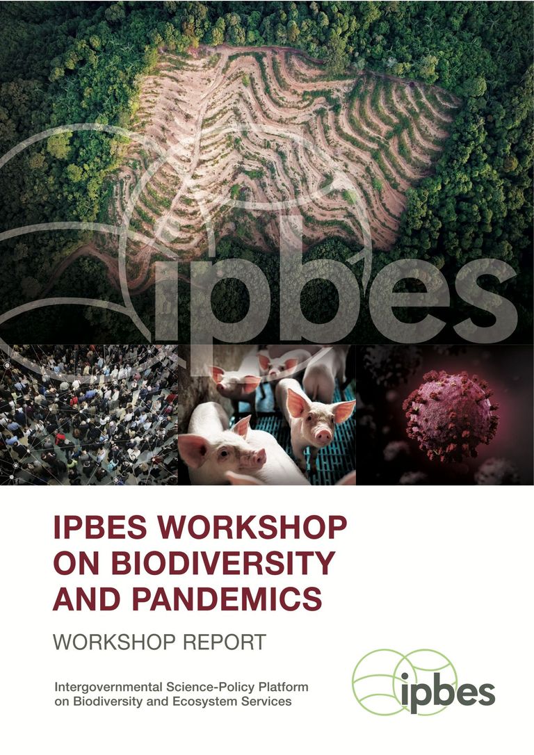 IPBES workshop on biodiversity and pandemics