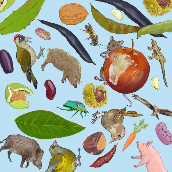 Titelbild in der App "Biodivers"