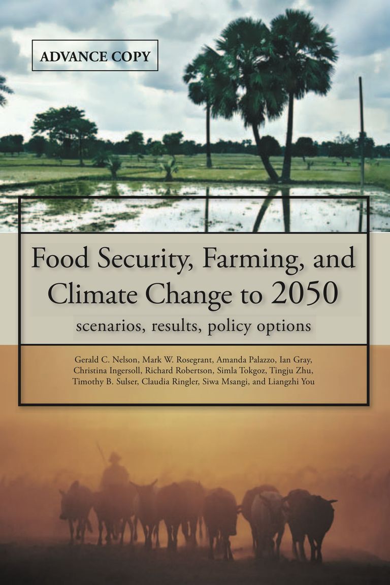 Full IFPRI Report: Food security, farming, and climate change to 2050
