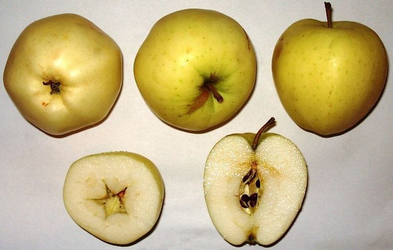 Klaräpfel