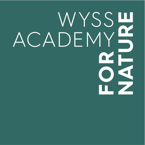 Logo Wyss Academy
