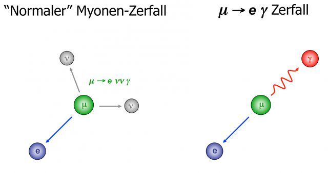 Normalerweise zerfällt ein Myon in ein Elektron (oder Positron) und zwei Neutrinos. Die Forscher am PSI wollen herausfinden, ob Myonen auch in ein Elektron (oder Positron) und ein Lichtteilchen zerfallen können.