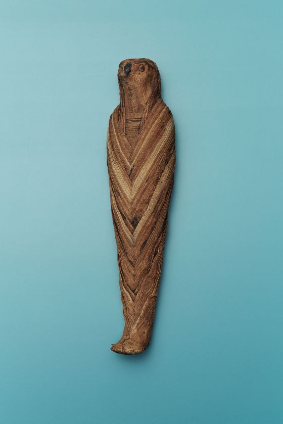 Mumifizierter Sperber, Ägypten – Antikenmuseum Basel und Sammlung Ludwig