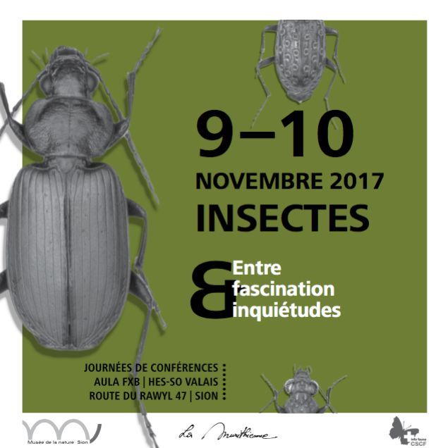 Colloque Insects