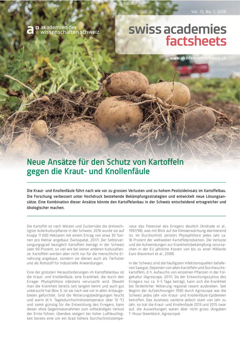 Faktenblatt «Neue Ansätze für den Schutz von Kartoffeln gegen die Kraut- und Knollenfäule»