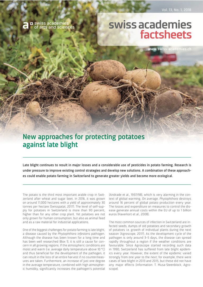 Factsheet «New approaches for protecting potatoes against late blight»