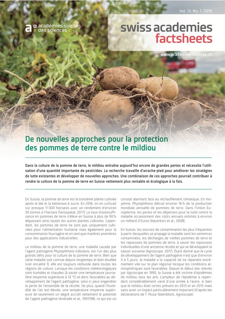 Fiche d'information «De nouvelles approches pour la protection des pommes de terre contre le mildiou»