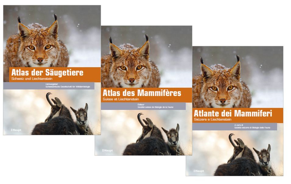 AtlasSäugetiere Cover 3 Sprachversionen