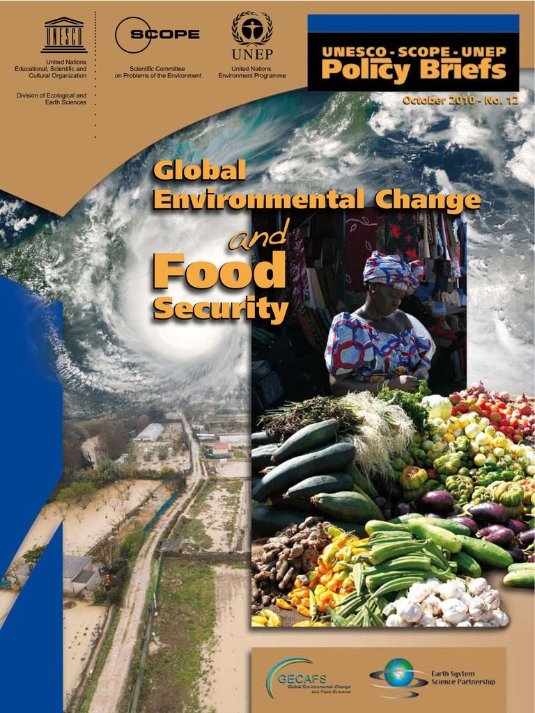 Policy brief: Global Environmental Change and Food Security