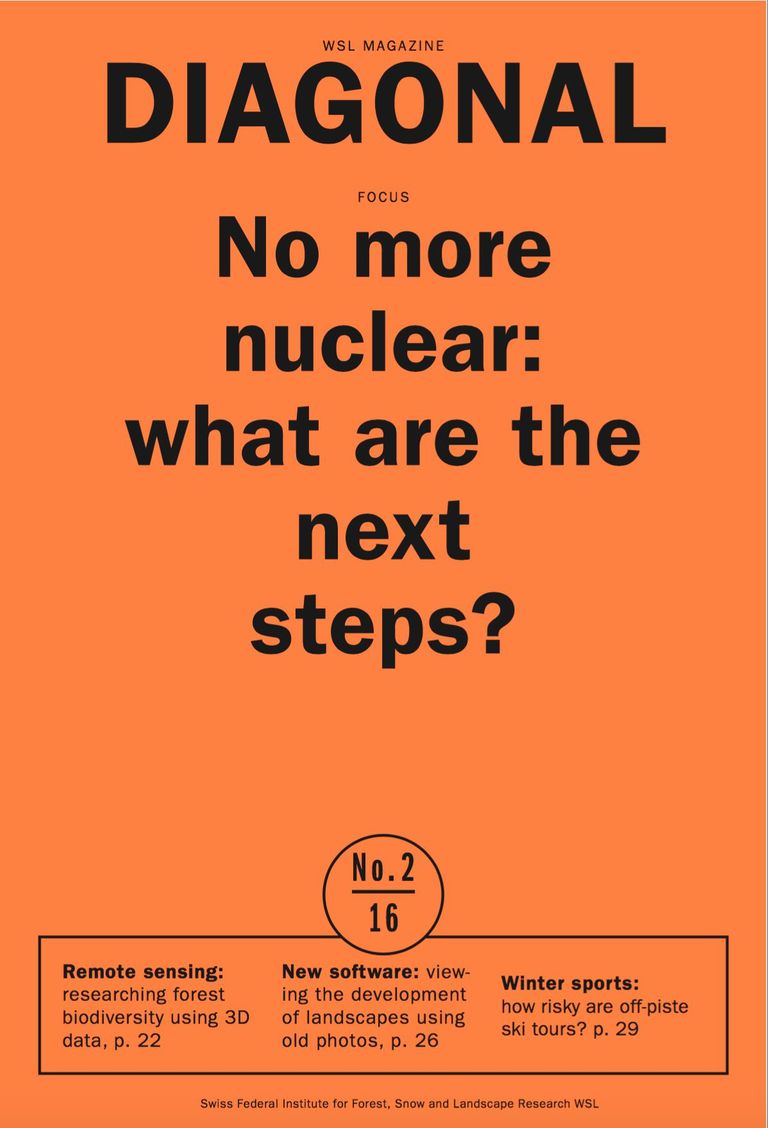 No more nuclear: what are the next steps?