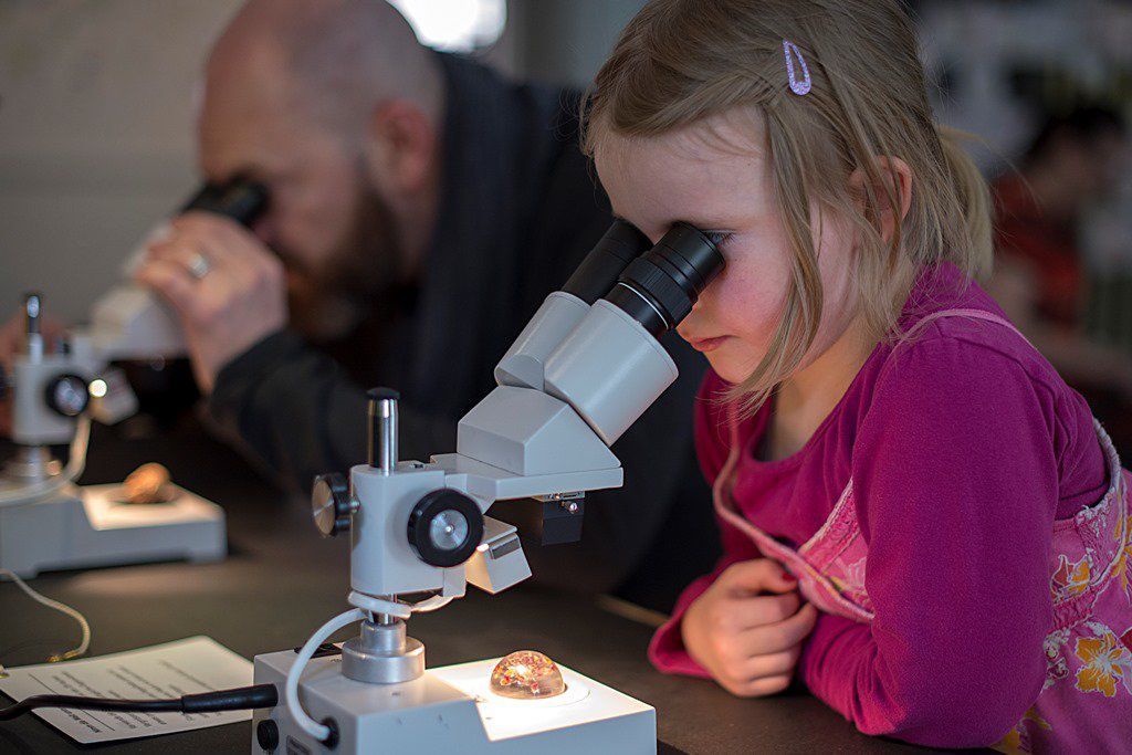 In der Ausstellung "Wildes Baselbiet" mit dem Mikroskop neues Entdecken