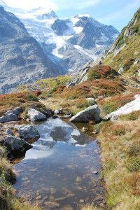 Gletscherpfad Steinegg-Sustenpass