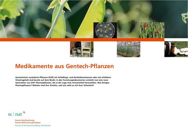 Medikamente aus Gentech-Pflanzen (2007, Forum Genforschung)