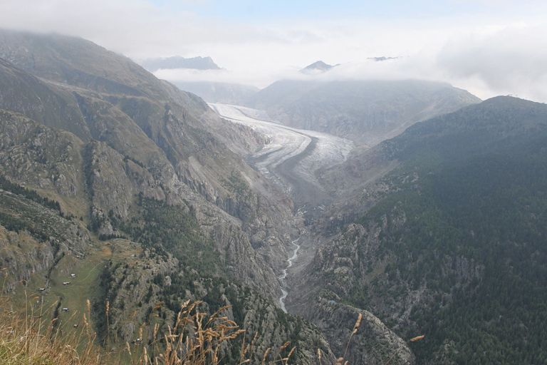 Tal Gletscher