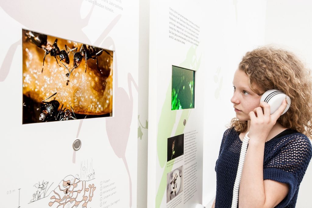 Lebenswelten entdecken in der Ausstellung "Wildes Baselbiet"