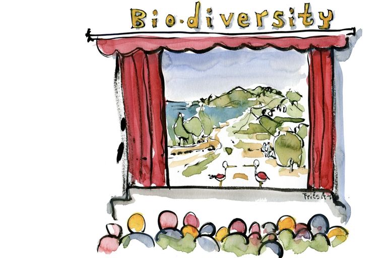 Biodiversität erzählen