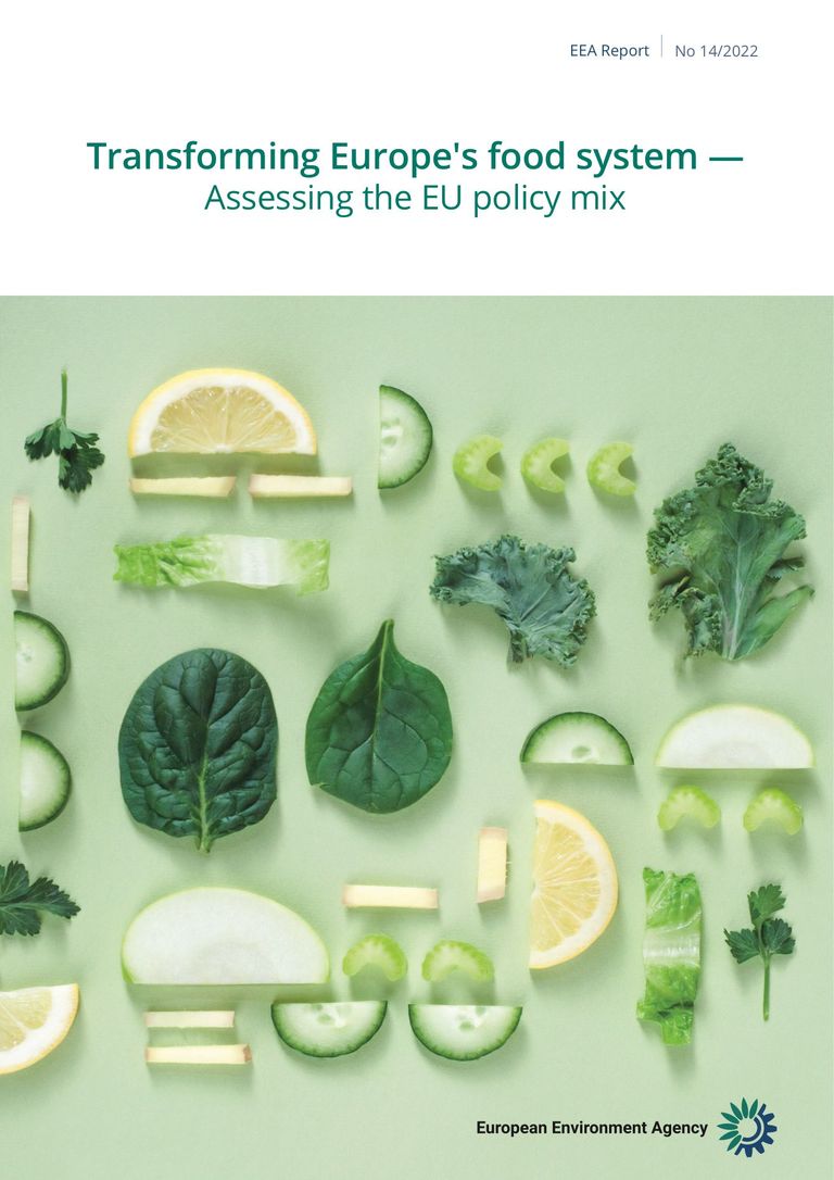 European Environment Agency (2023): Transforming Europe's food system — Assessing the EU policy mix