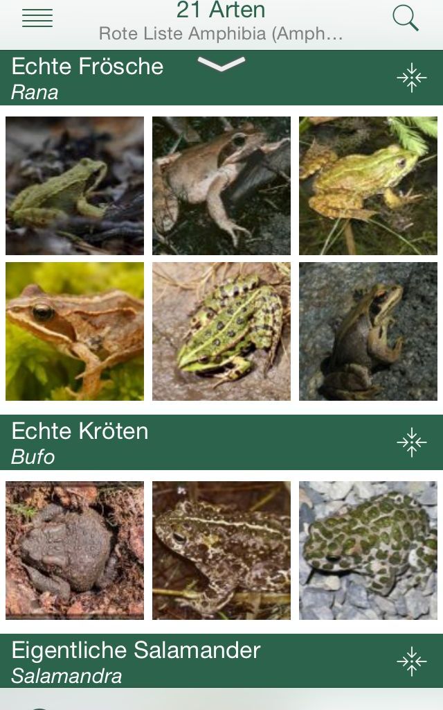 naturvielfalt.ch Amphibien