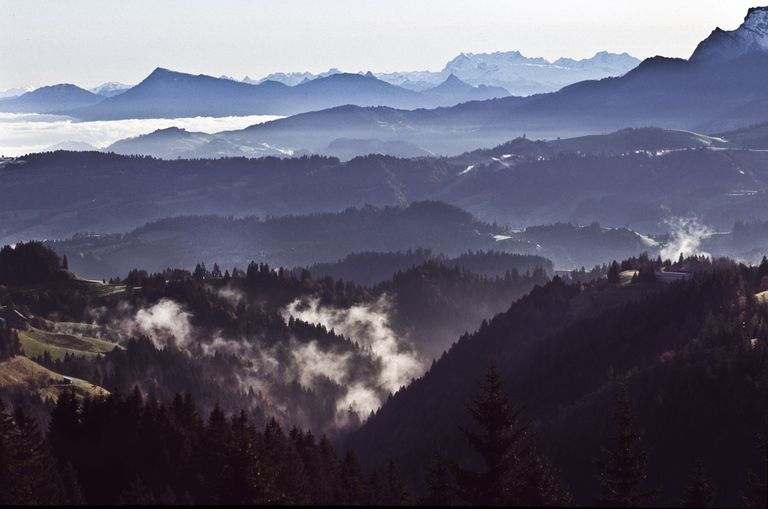 montagnes paysage colline mer de brouillard