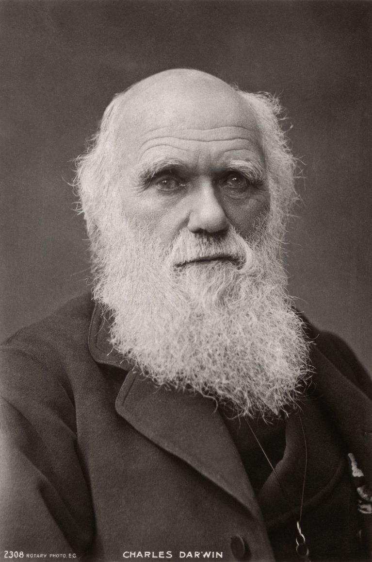 charles darwin scientist evolution