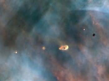 Stars with protoplanetary disks in the Orion Nebula