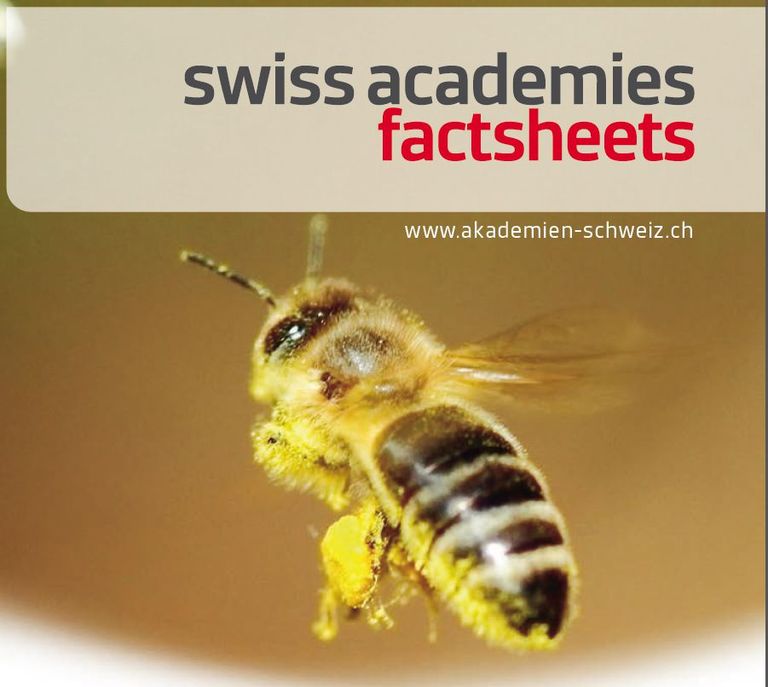 Swiss academies factsheets