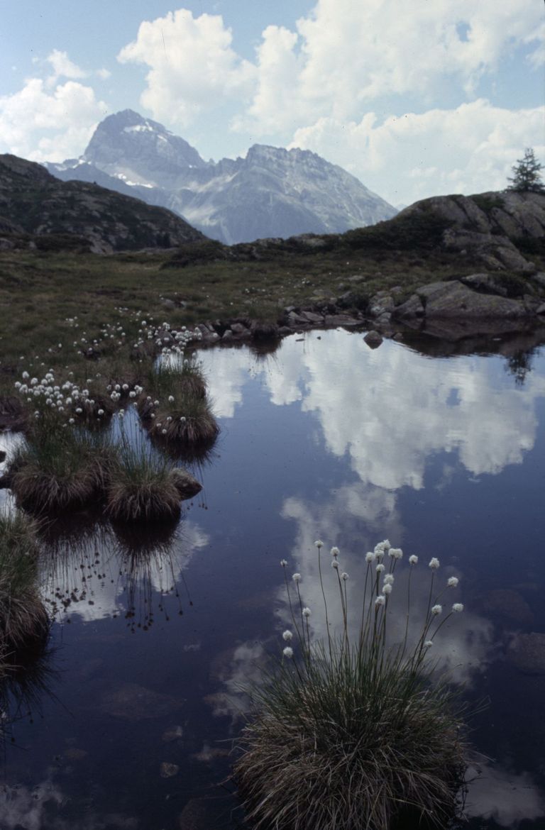 montagnes lac de montagne linaigrette eriophorum nuages