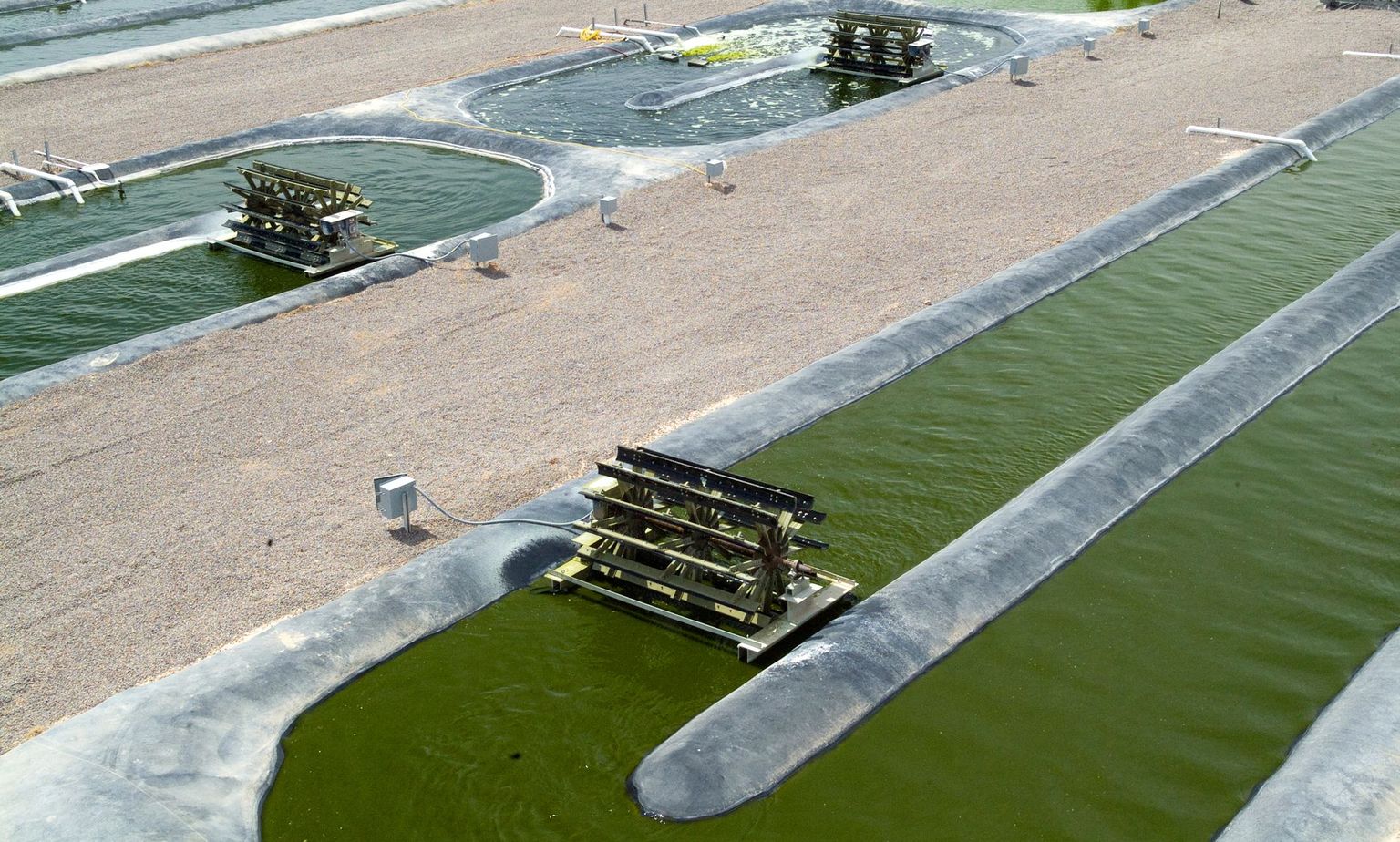 Production d’algues pour la fabrication de biocarburant au centre de recherche AgriLife au Texas.