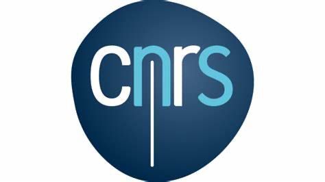 CNRS Reshape