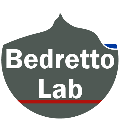 Logo des Felslabors im Bedretto-Tal