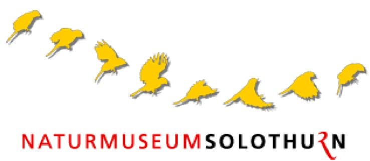 Logo von Naturmuseum Solothurn