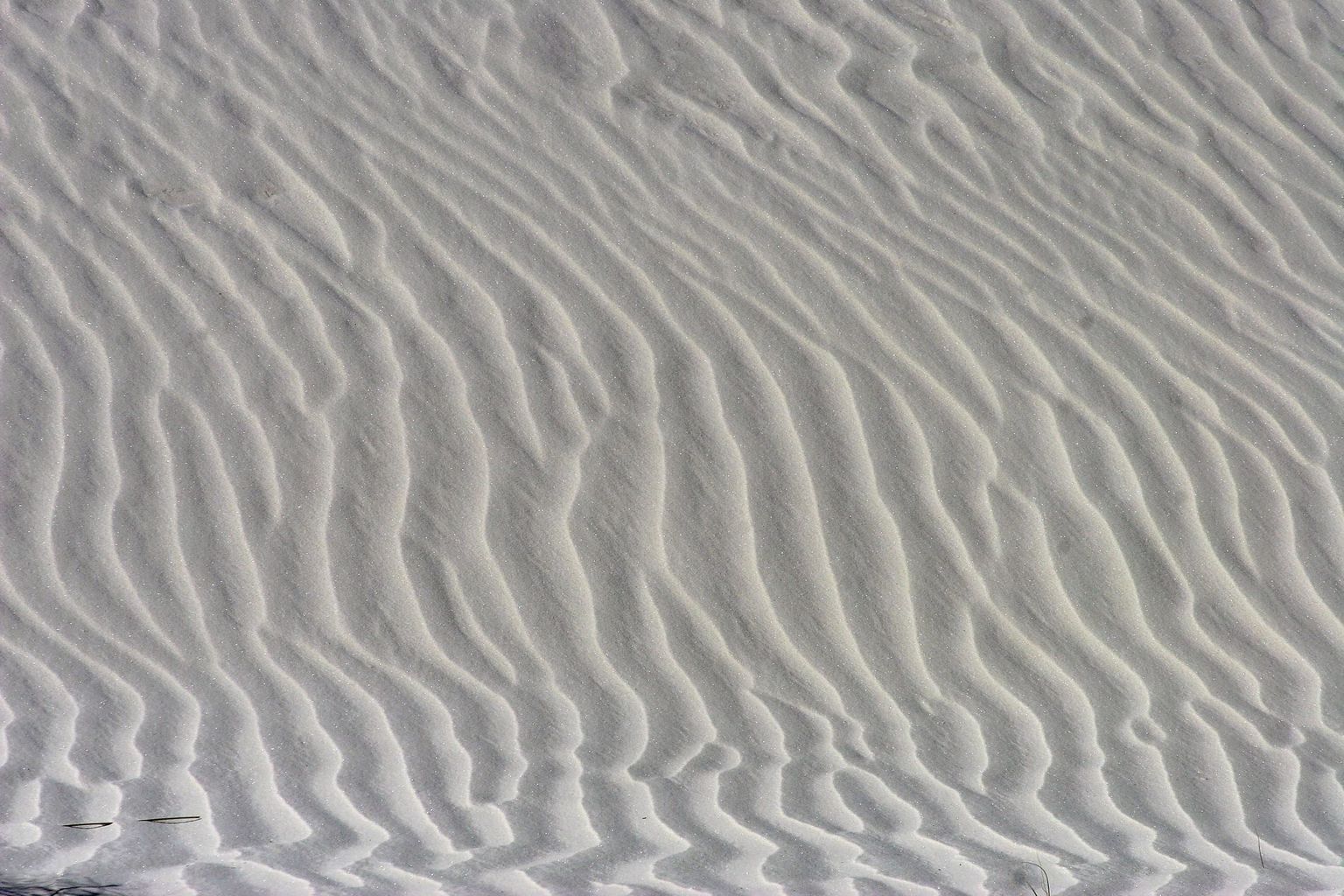 sand dune wind