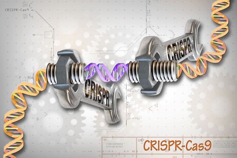 CRISPR Cas9 DNA Schraubenschlüssel
