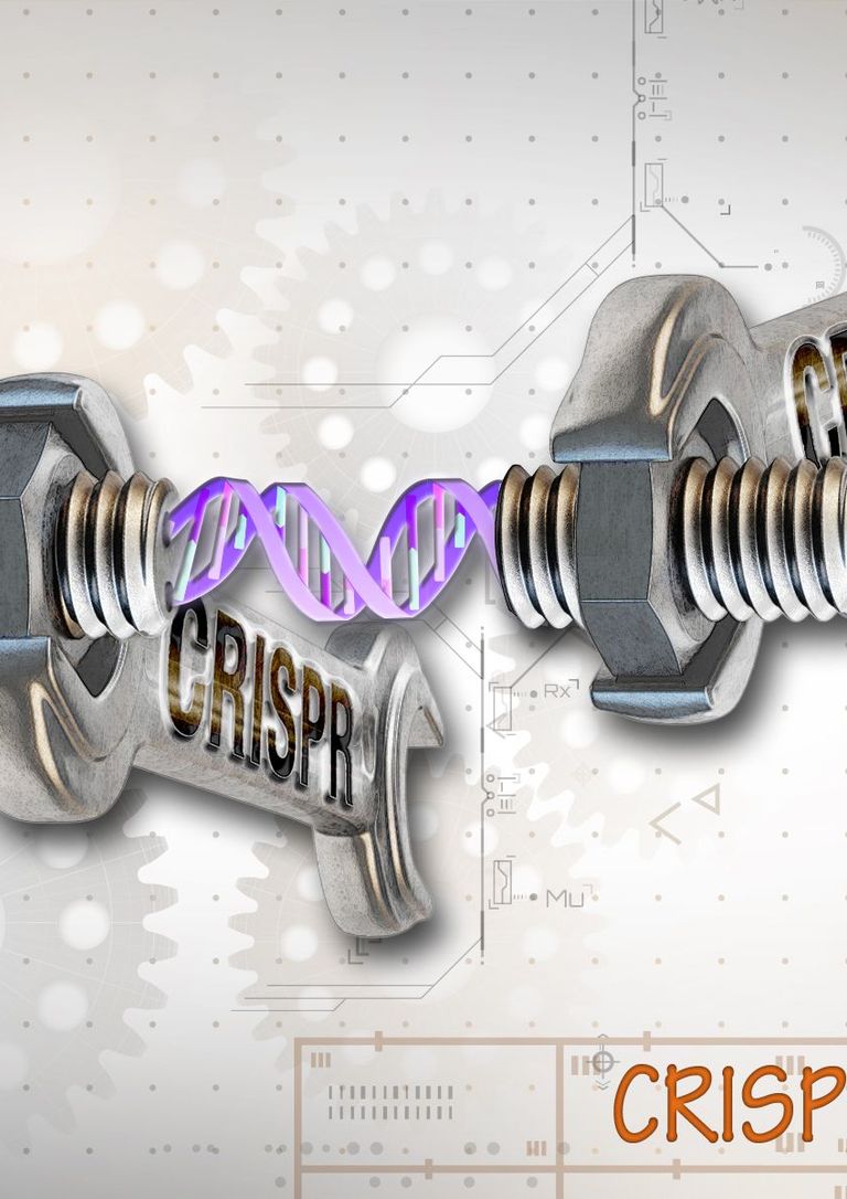 CRISPR Cas9 DNA Schraubenschlüssel