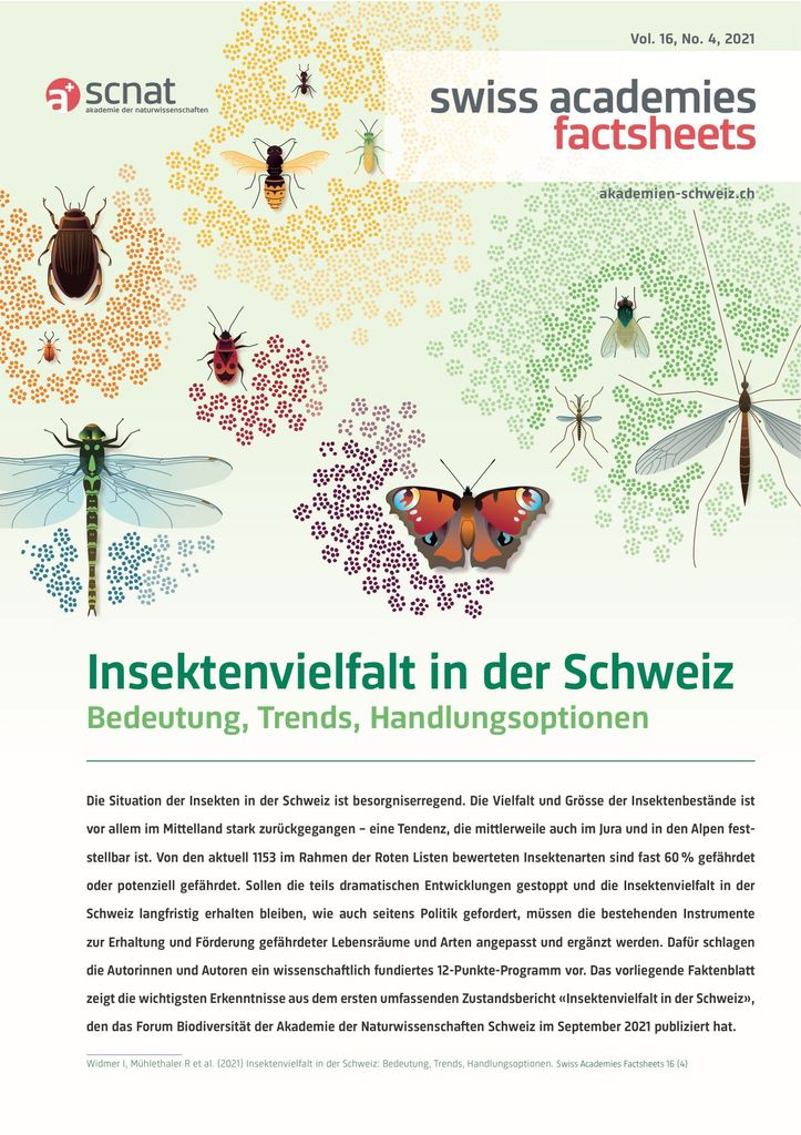 Insektenvielfalt in der Schweiz: Bedeutung, Trends, Handlungsoptionen